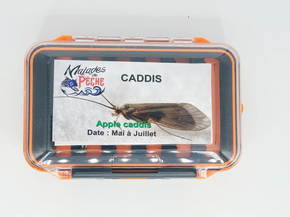 Boite entomologique caddis verte couvert