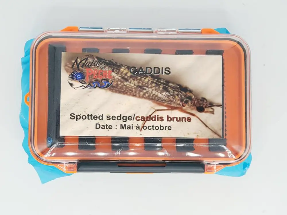 boite à mouche Caddis Brune