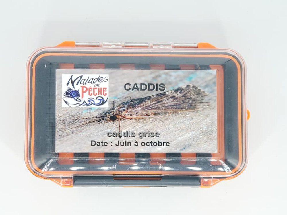 boite à mouche caddis grise top